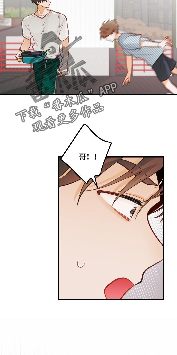 谁吻了我结局漫画,第29章：送茄子2图