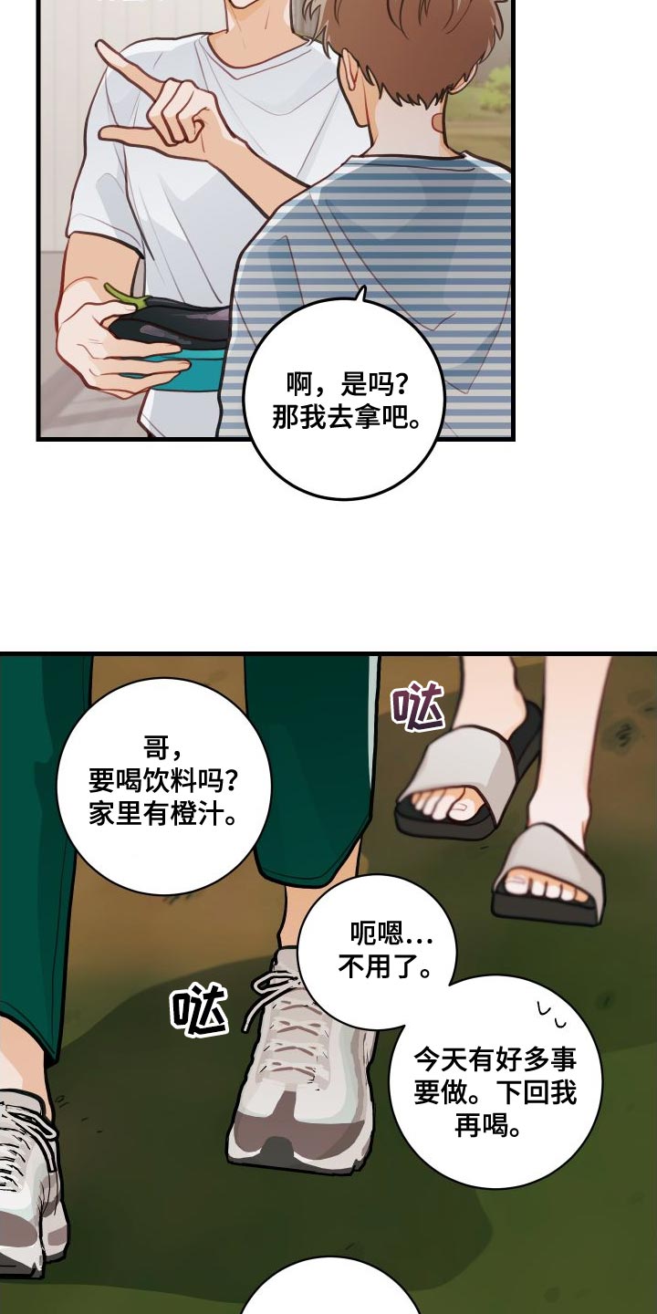 谁吻了我漫画全集漫画免费阅读下拉式六漫漫画,第29章：送茄子2图