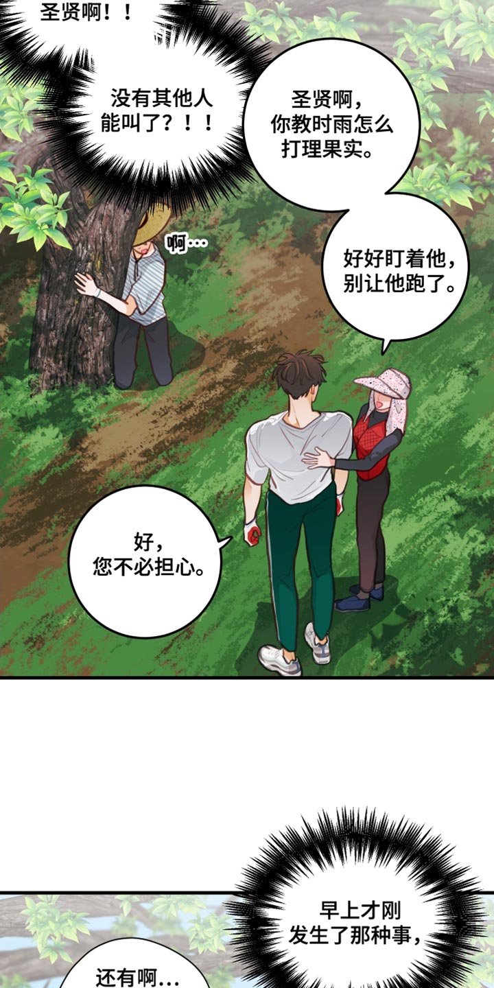 谁吻了我结局漫画,第32章：果园2图