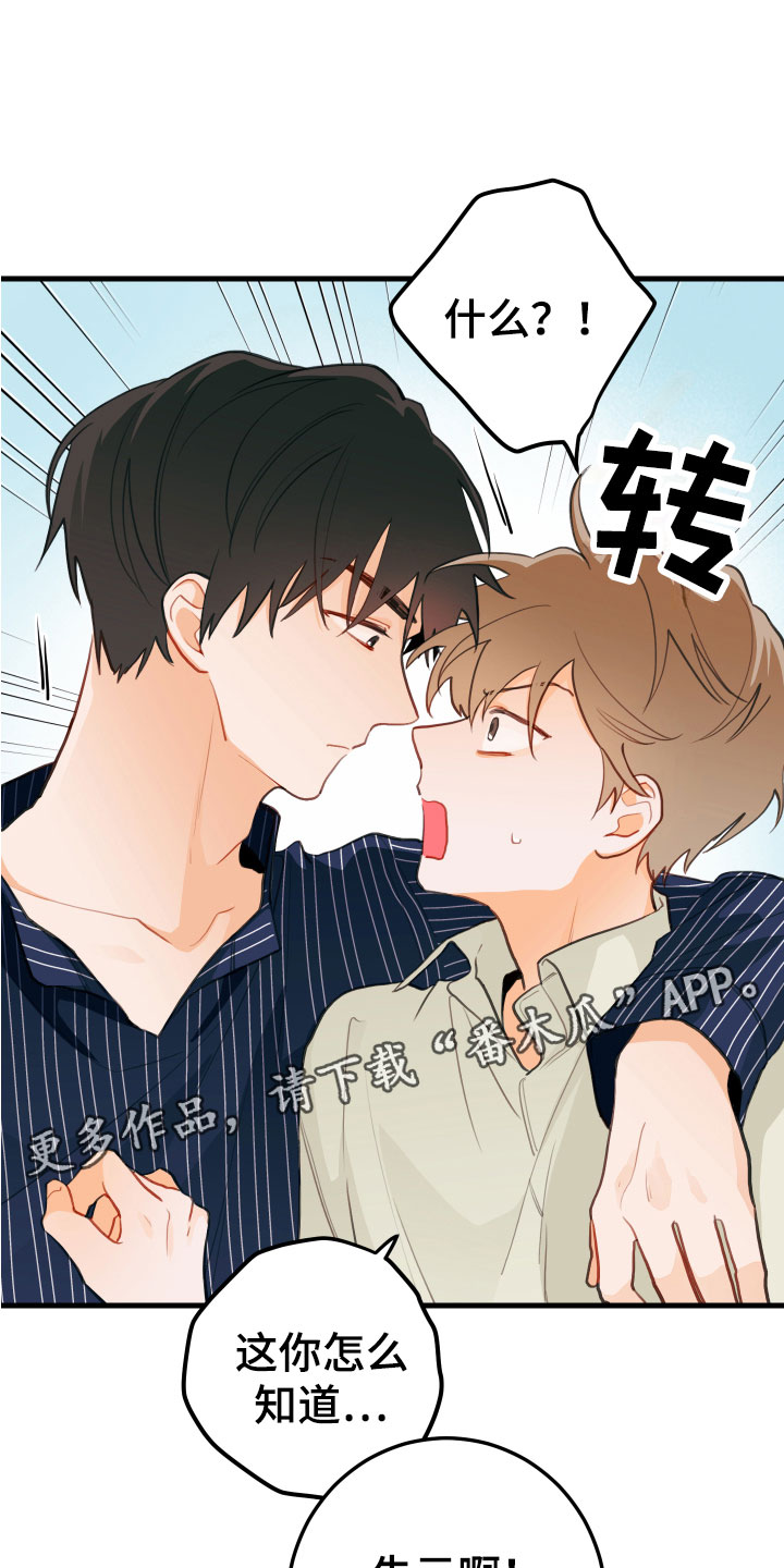 谁吻了我漫画全集漫画免费阅读下拉漫画,第12章：喝酒赌约1图