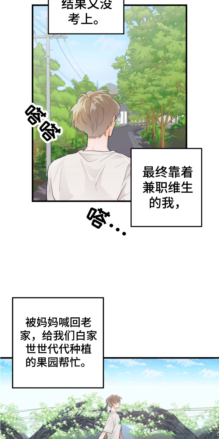 谁吻了我结局漫画,第1章： 回到故乡2图