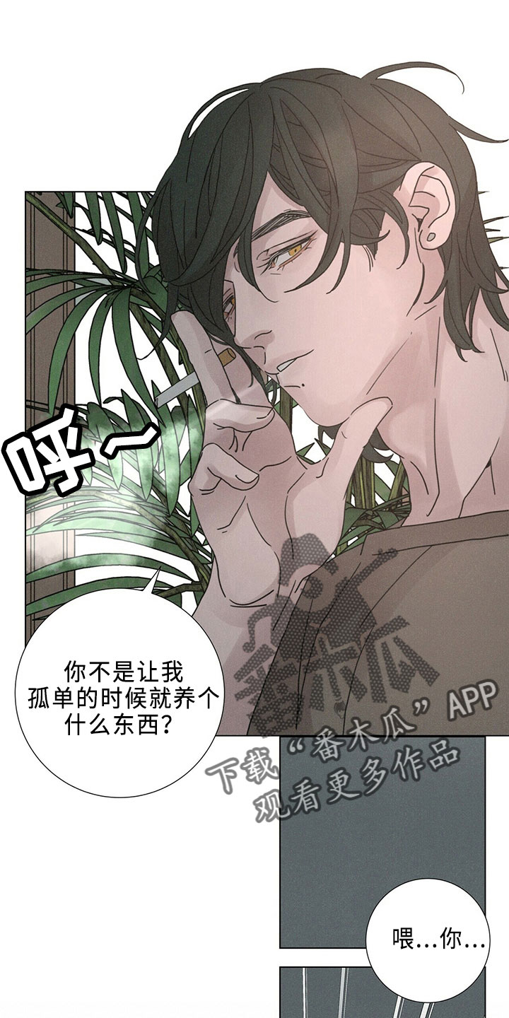 爱情深邃的眼神视频漫画,第24章：新职员2图