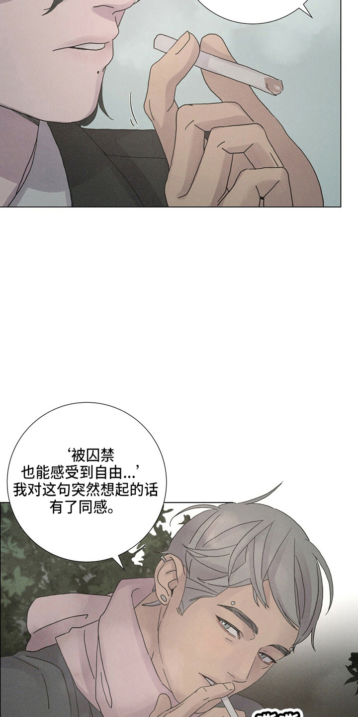 爱情深夜感慨的文案漫画,第19章：蝴蝶2图