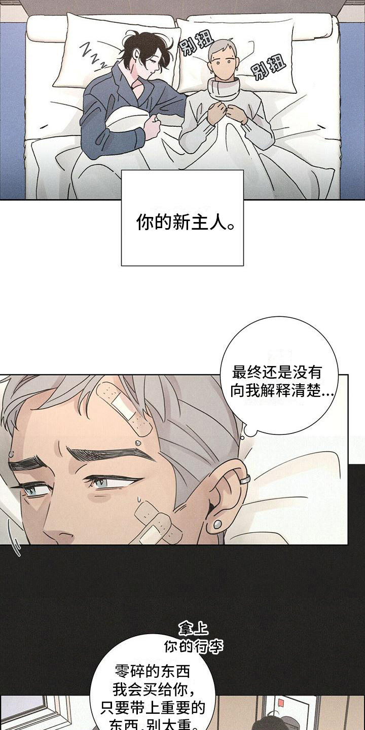 爱情深夜伤感文案漫画,第4章：带回家2图