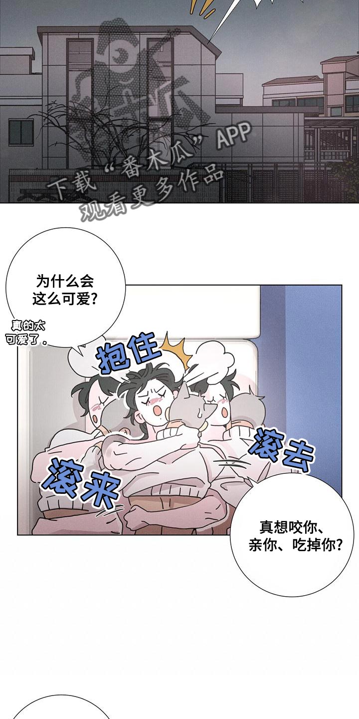 爱情深陷其中漫画,第41章：病入药膏1图