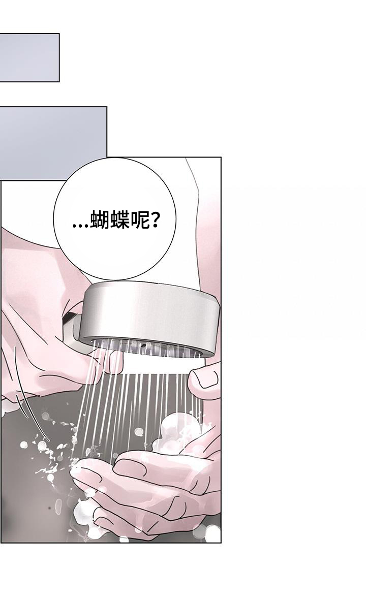 爱情深刻的句子图片漫画,第62章：【第二季】注定1图