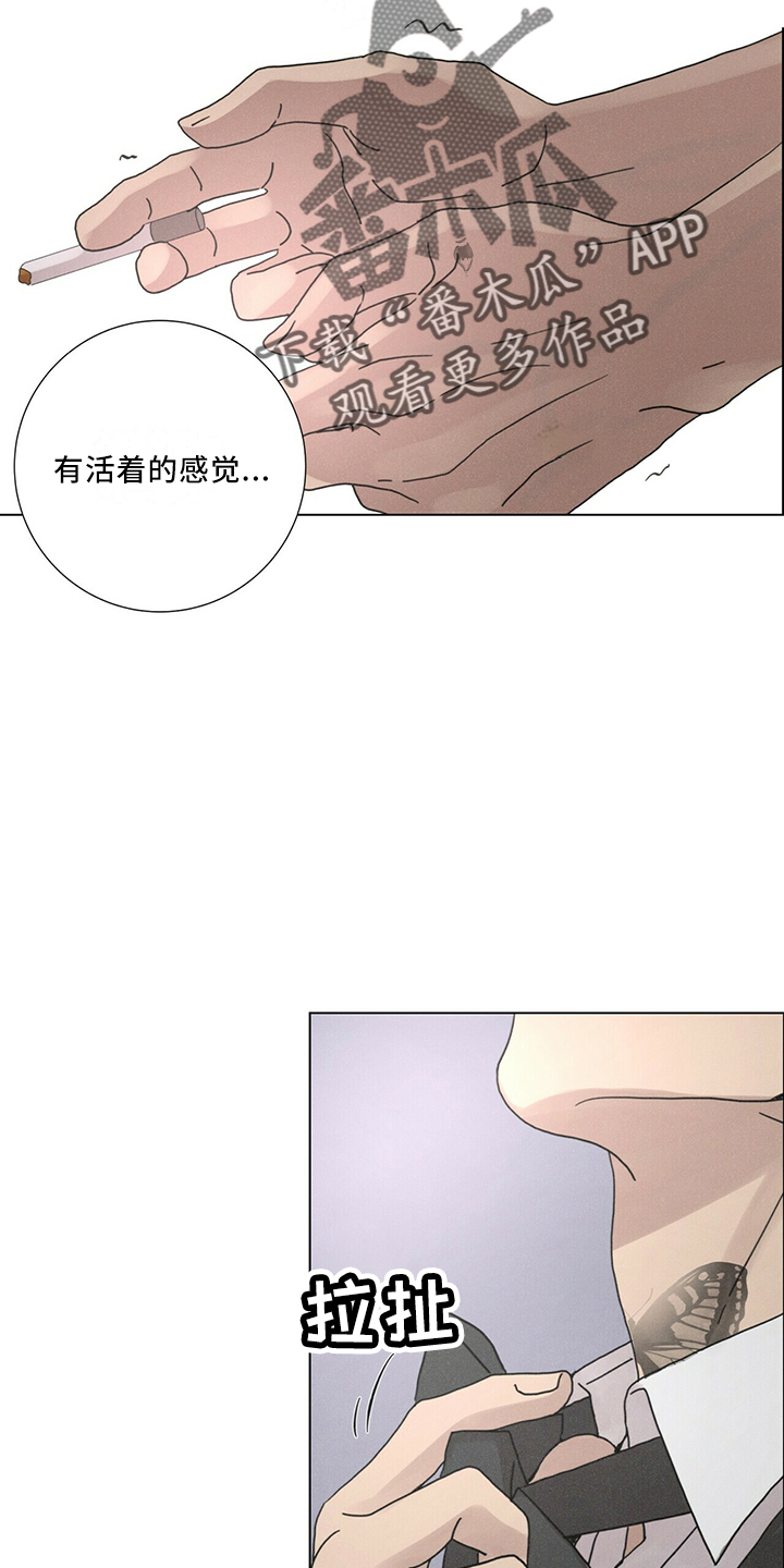 爱情深情句子简短漫画,第28章：太期待1图