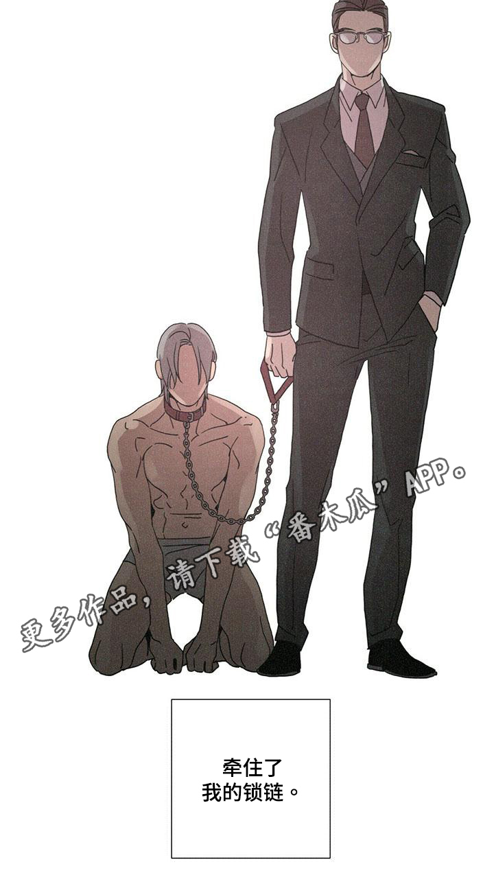 爱情深渊漫画,第8章：最后的短信1图