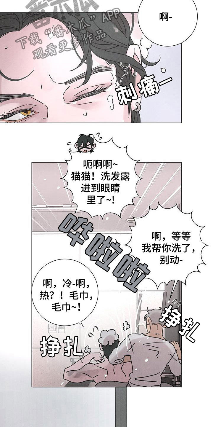 艾青生平简介漫画,第46章：日常生活1图