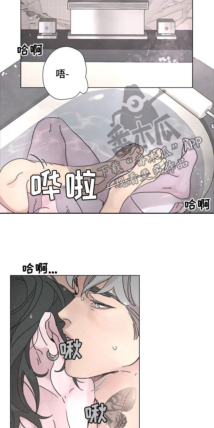 爱情神话电影免费观看完整版漫画,第47章：默契1图