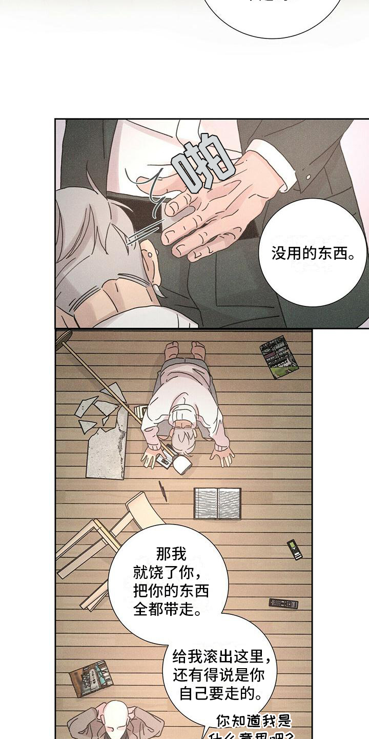 爱情深刻的感悟漫画,第2章：打砸2图