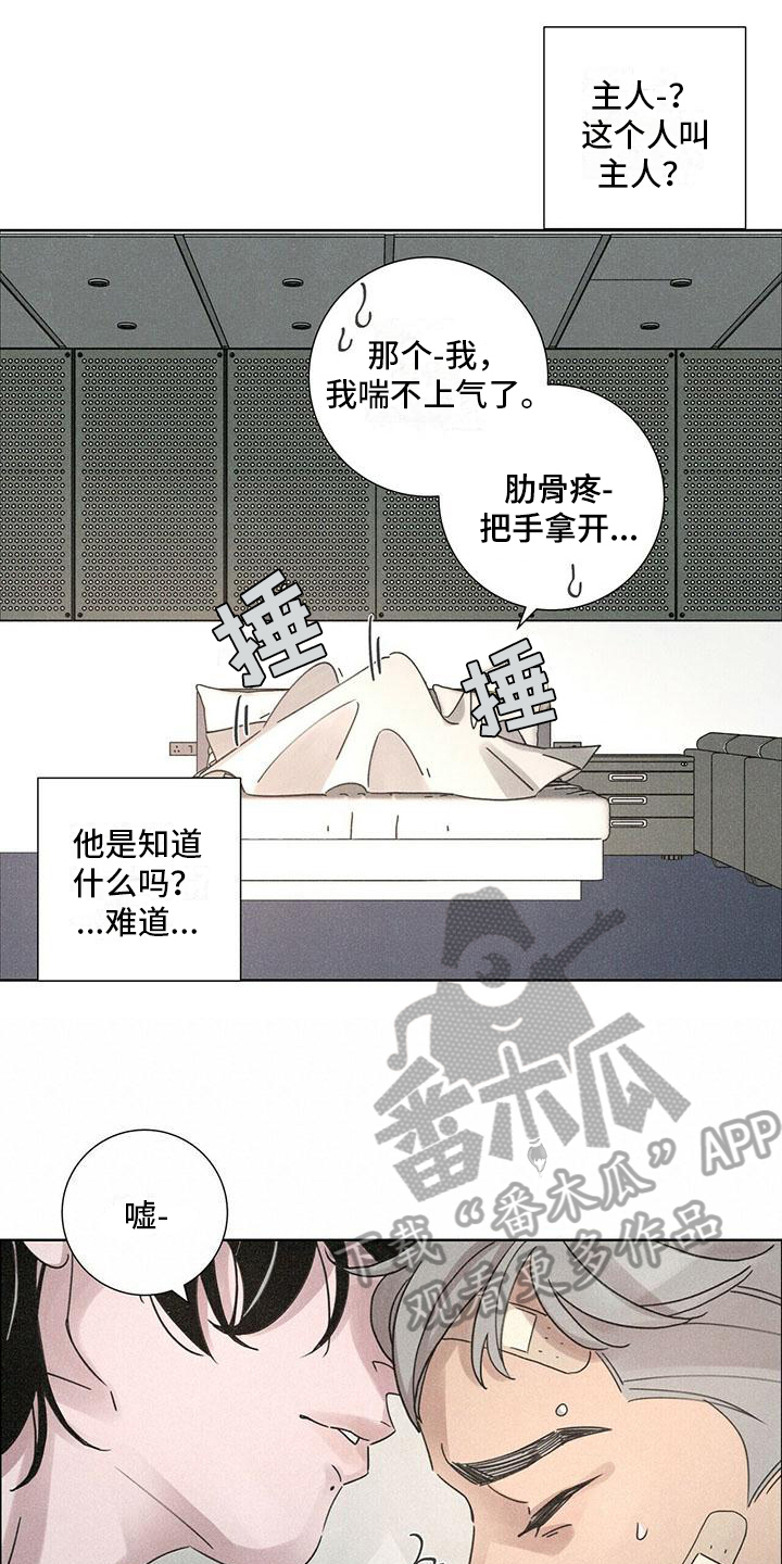 爱情深夜伤感文案漫画,第4章：带回家2图