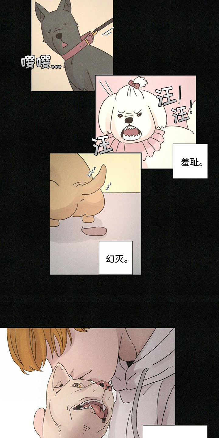 爱情深深相印电视剧漫画,第3章：后果2图