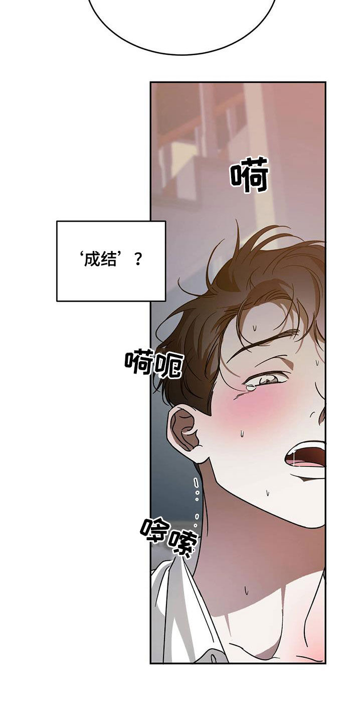 主仆之间禁忌之恋漫画,第93章：【第二季】成结1图