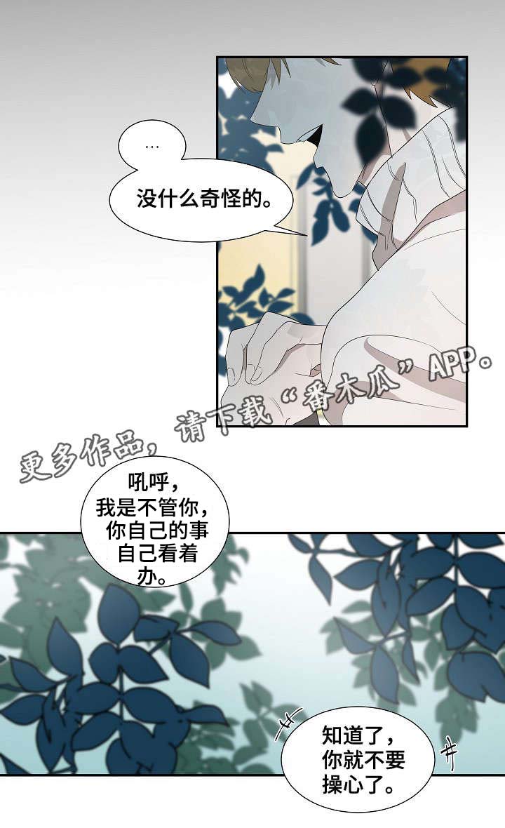 权位图片漫画,第32章：新人2图