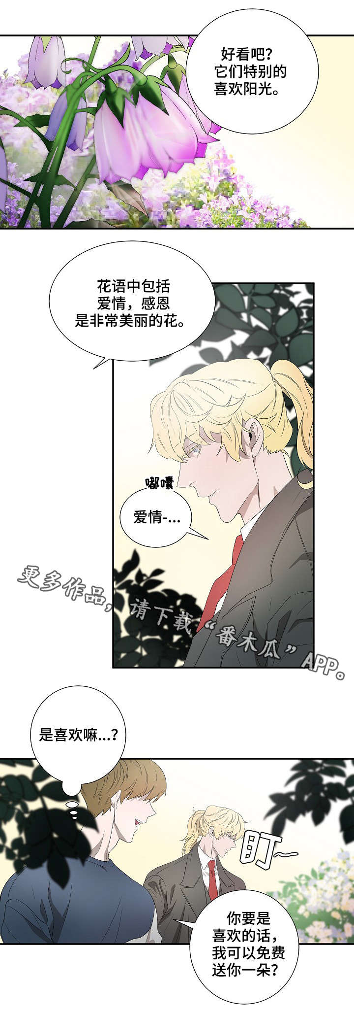 权位图片漫画,第18章：太阳花2图