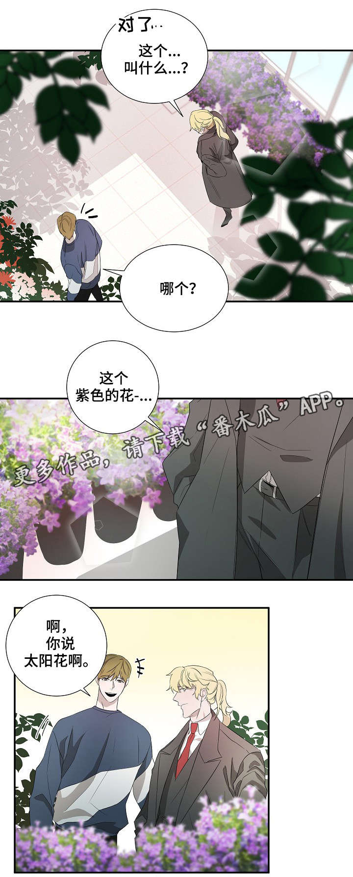 权位图片漫画,第18章：太阳花1图