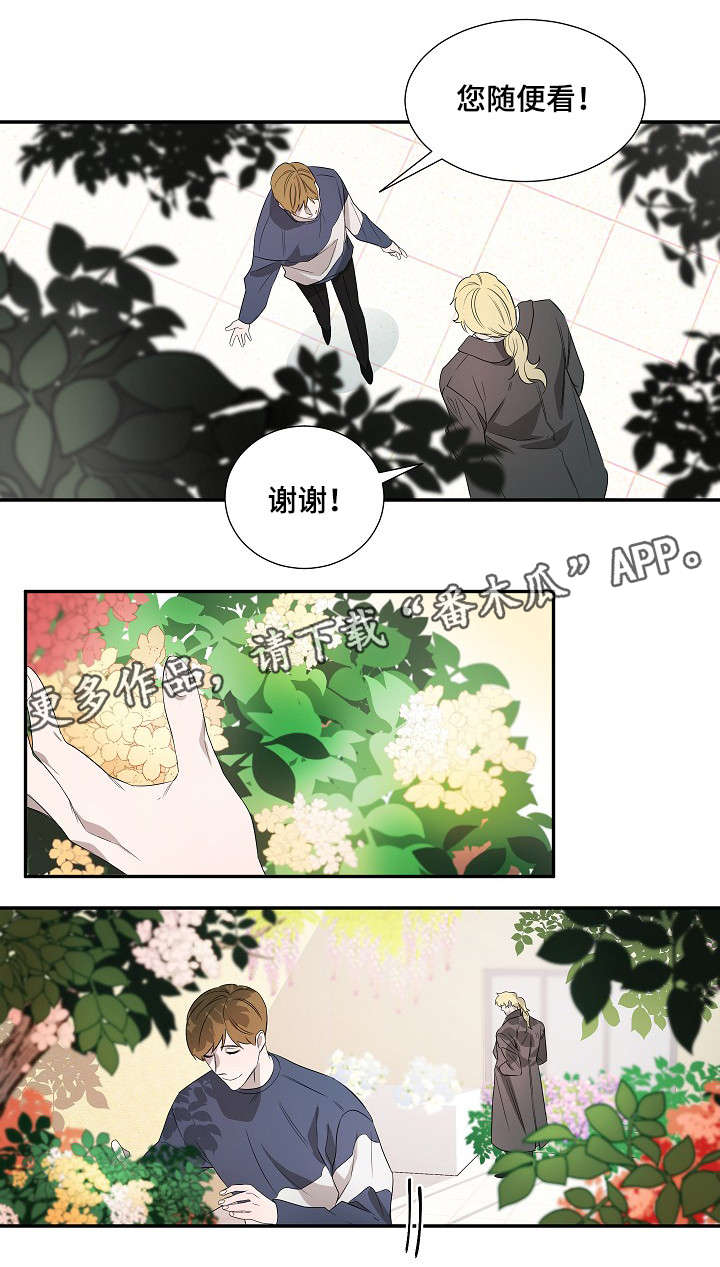 权谋漫画,第18章：太阳花2图