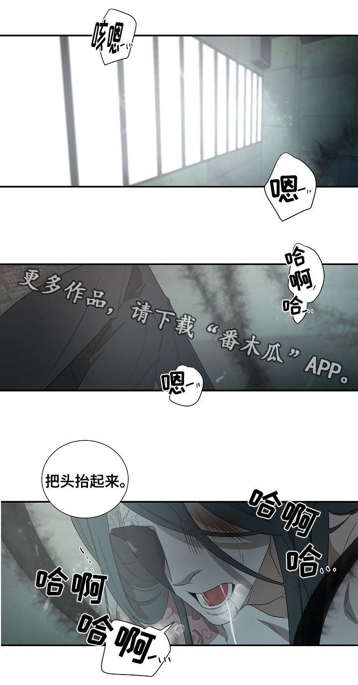 权位图片漫画,第32章：新人1图