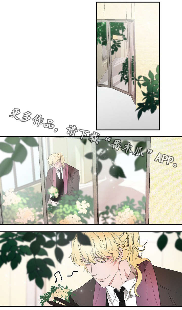权位图片漫画,第25章：声音2图