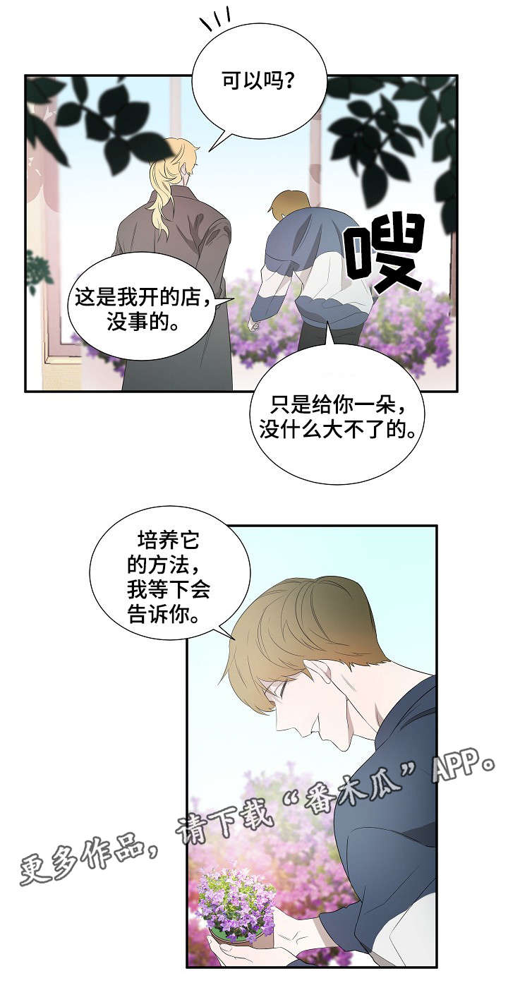 权位图片漫画,第18章：太阳花1图