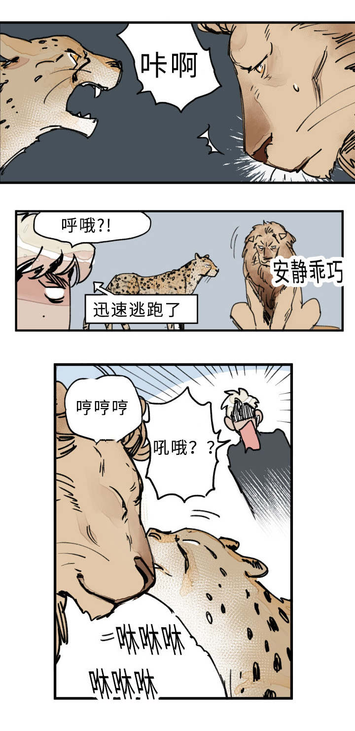 特里安德漫画,第21章：关系2图