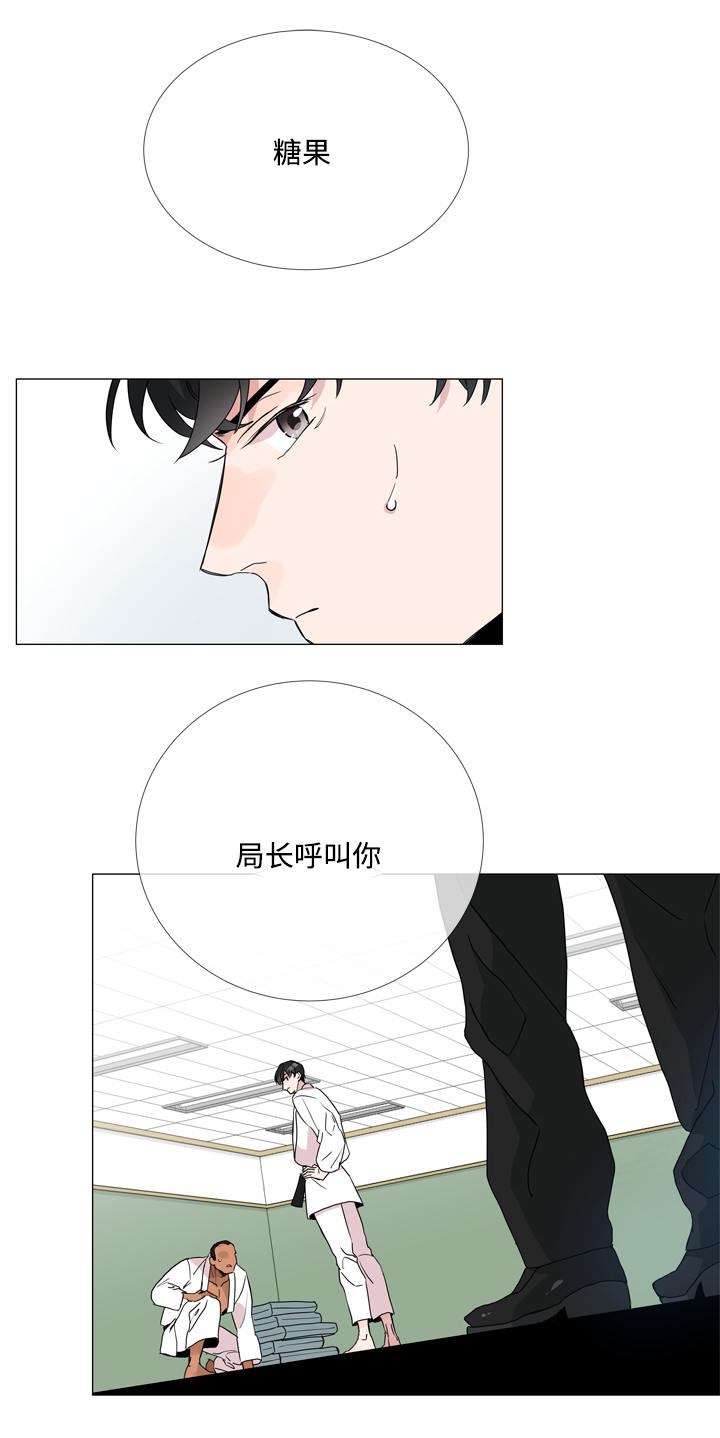 目标人物白敬亭在线观看完整漫画,第1章：特工2图