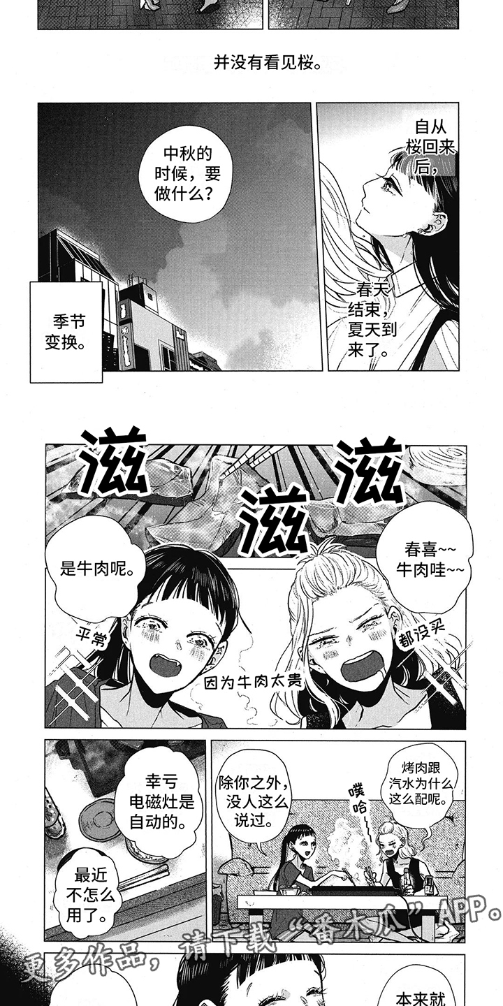 樱花盛开的季节散文漫画,第20章：烟花秀2图