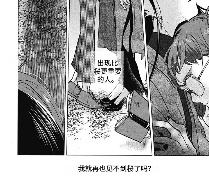 樱花盛开的荆州古城图片漫画,第27章：迷茫1图