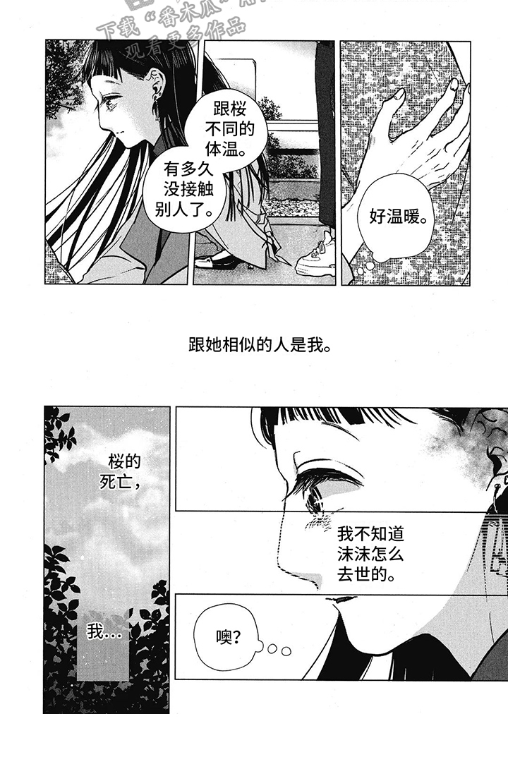 樱花盛开的荆州古城图片漫画,第25章：相似之处2图