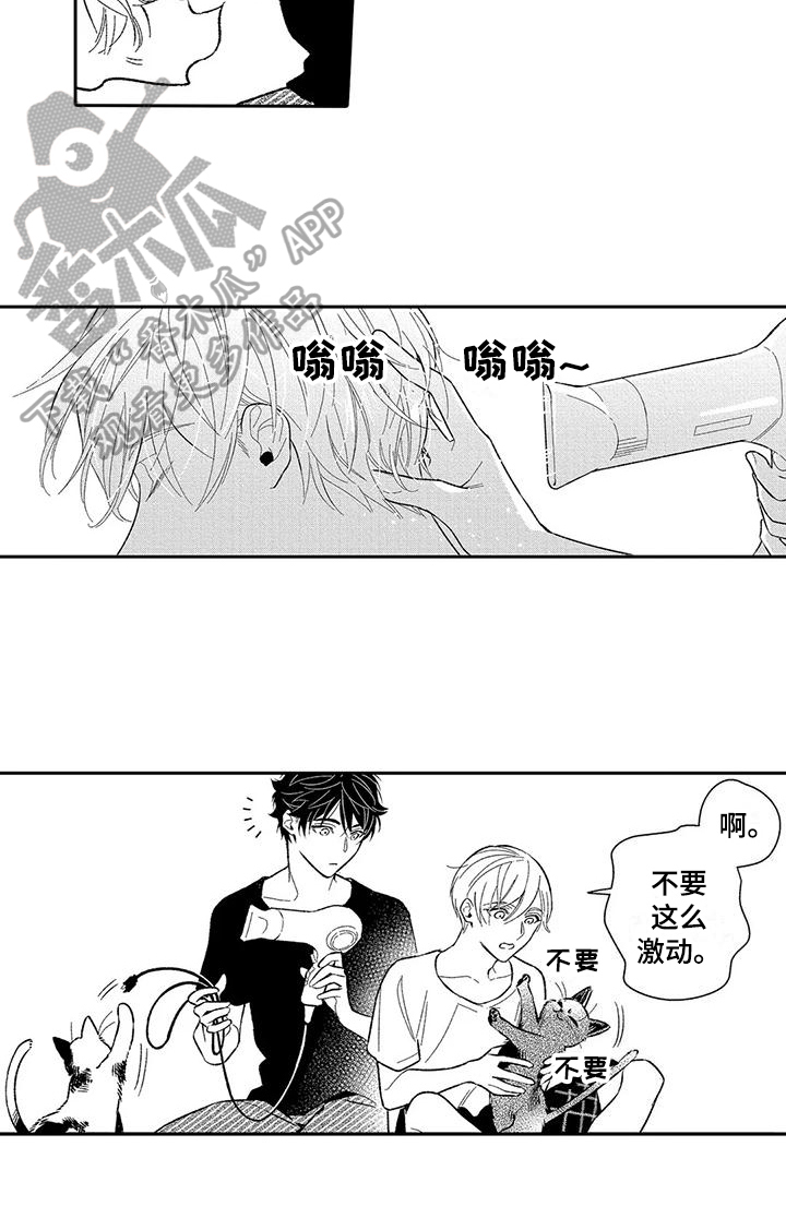 小说推荐甜蜜部分漫画,第10章：贪心2图