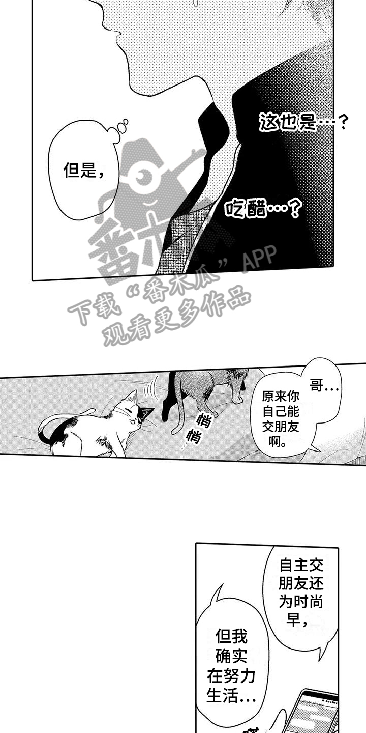 爱的迫降结局甜蜜部分漫画,第17章：电话1图