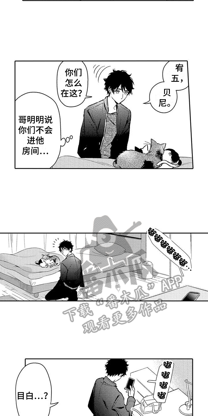 甜蜜的爱情漫画,第17章：电话1图