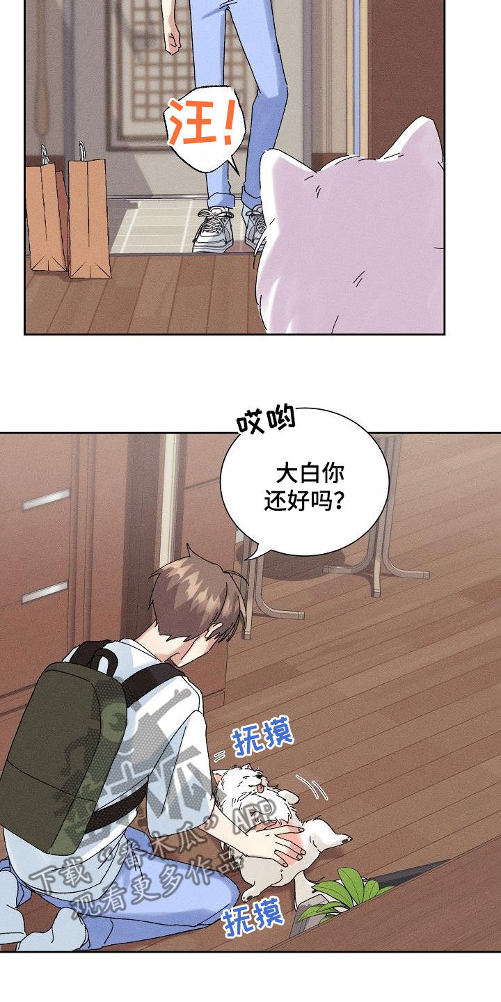 失忆陷阱 海盐卡曼橘漫画,第31章：有喜欢的人2图