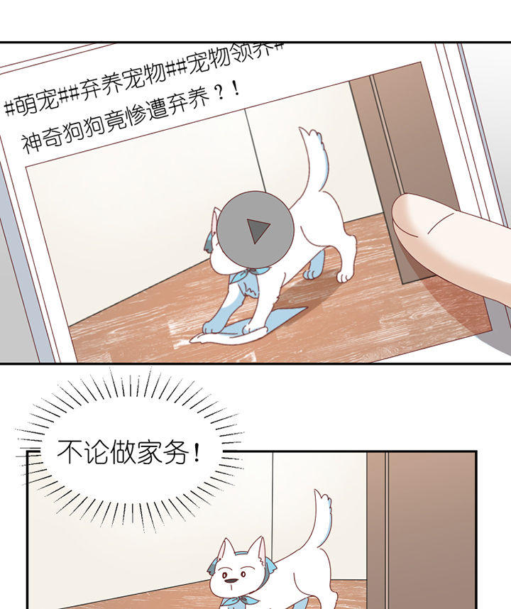 孟婆的甜点漫画,第65章：放弃1图