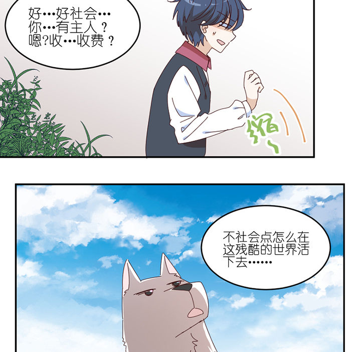 孟婆的甜点漫画,第57章：才不是流浪狗1图