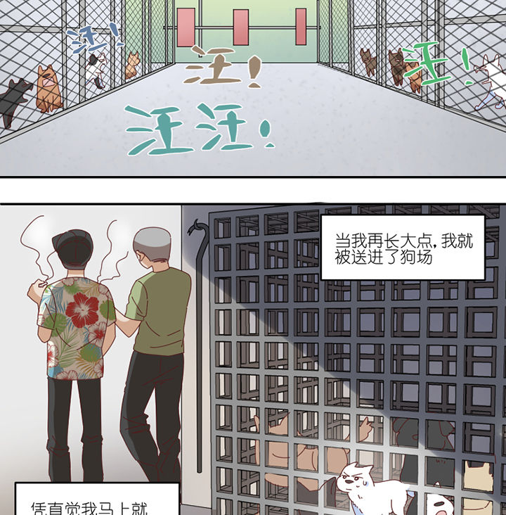 孟婆的甜点漫画,第59章：我讨厌狗2图