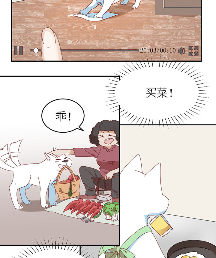 孟婆的甜点漫画,第65章：放弃2图