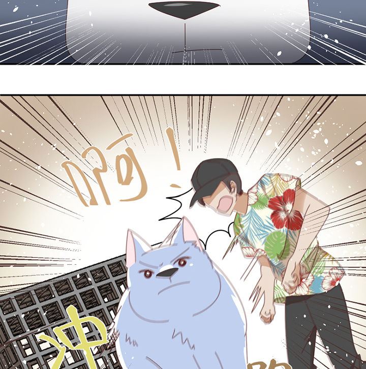 孟婆的甜点漫画,第59章：我讨厌狗1图