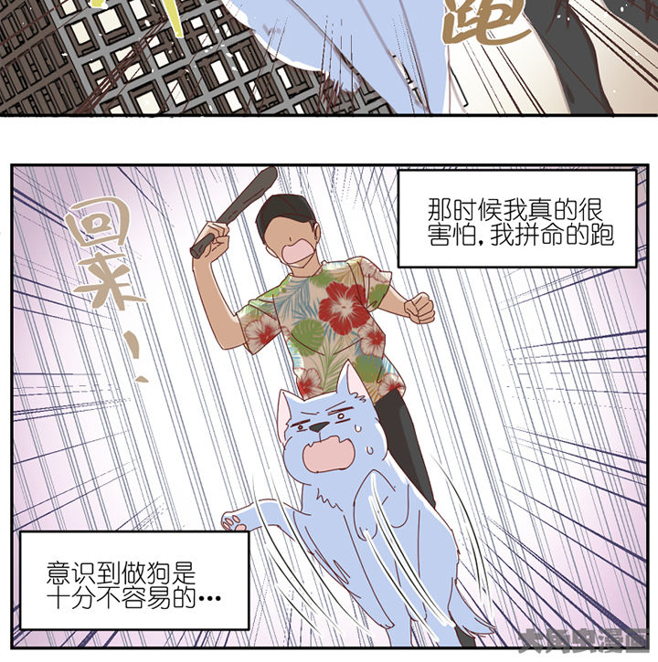 孟婆的甜点漫画,第59章：我讨厌狗2图