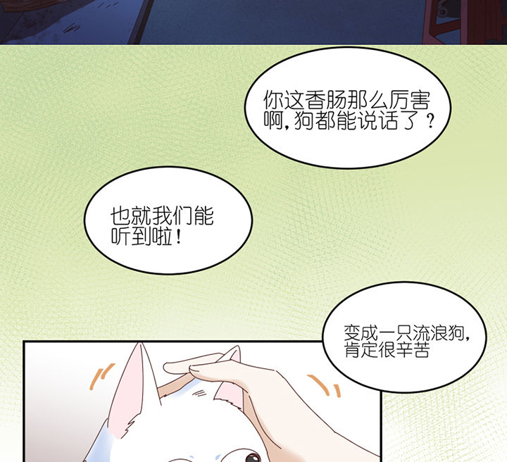 孟婆的甜点漫画,第57章：才不是流浪狗2图