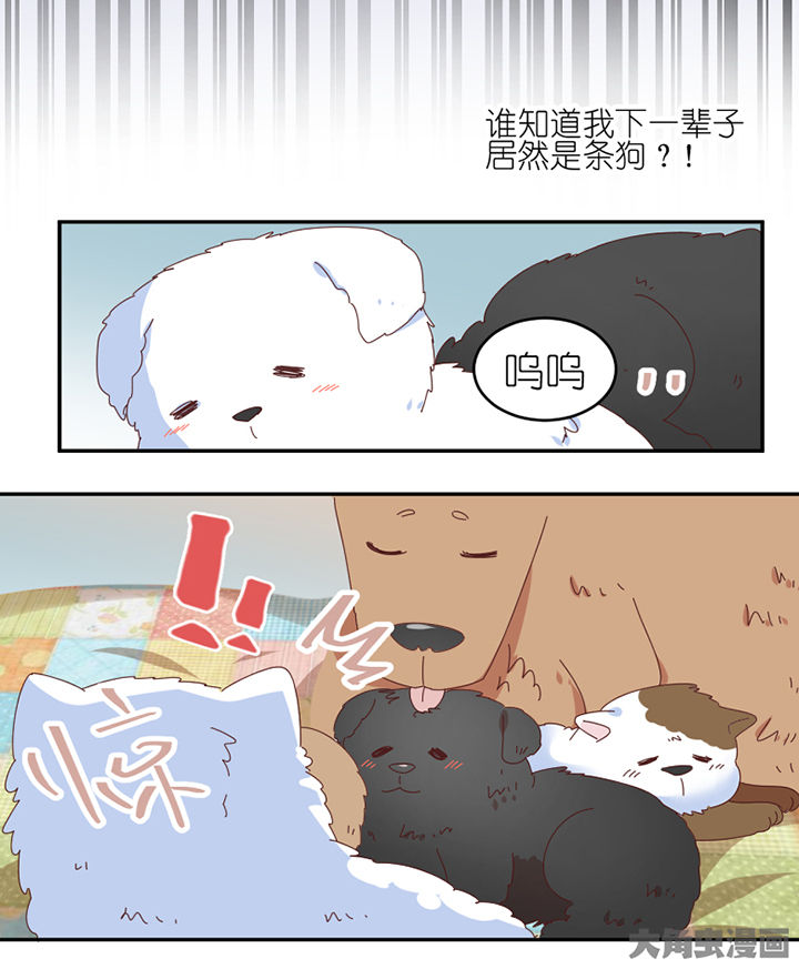 孟婆的甜点漫画,第59章：我讨厌狗2图