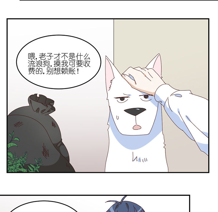 孟婆的甜点漫画,第57章：才不是流浪狗2图