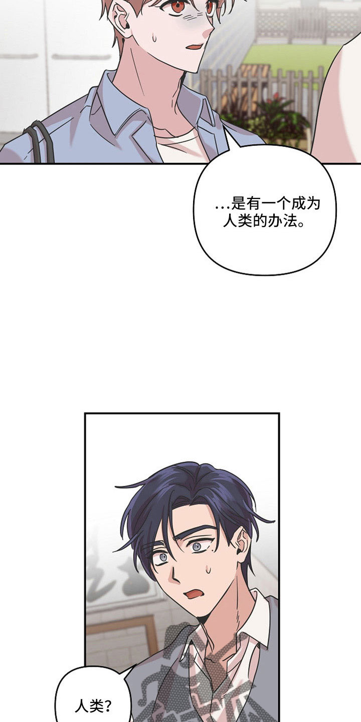 吸血鬼困局韩漫漫画,第36章：不想失去两次2图