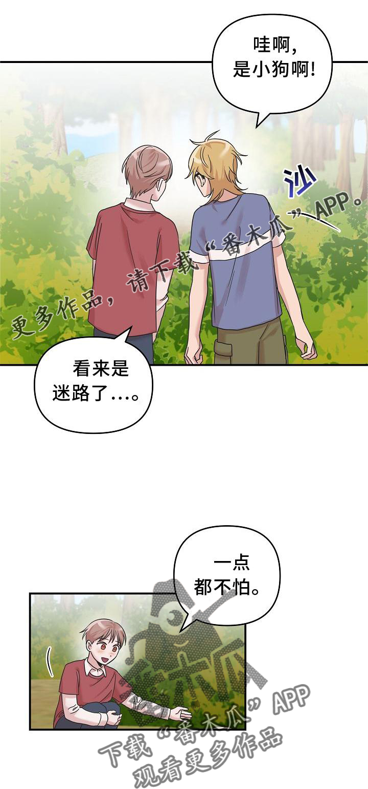 吸血鬼困局漫画免费观看漫画,第17章：喜欢1图