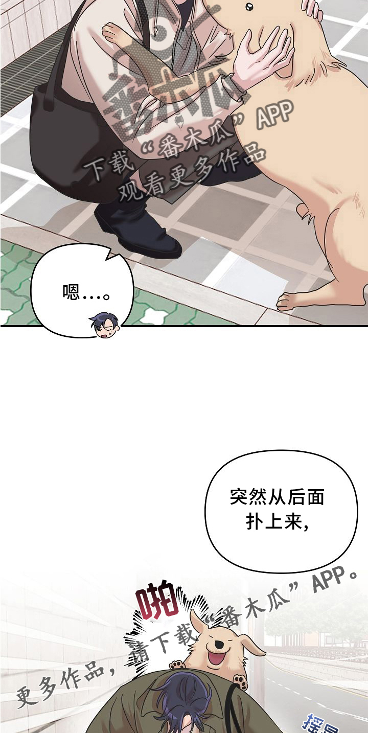 吸血鬼困局韩漫漫画,第15章：找寻2图