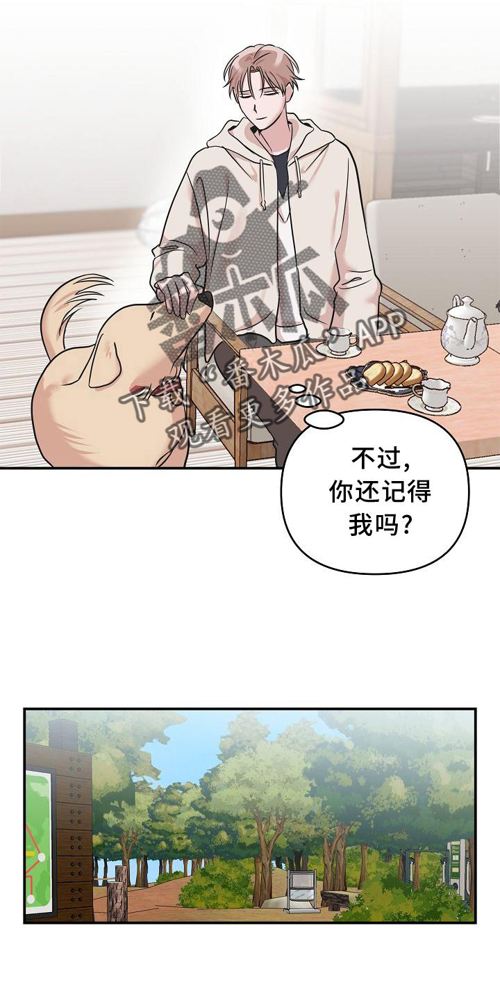 吸血鬼困局漫画免费观看漫画,第17章：喜欢2图