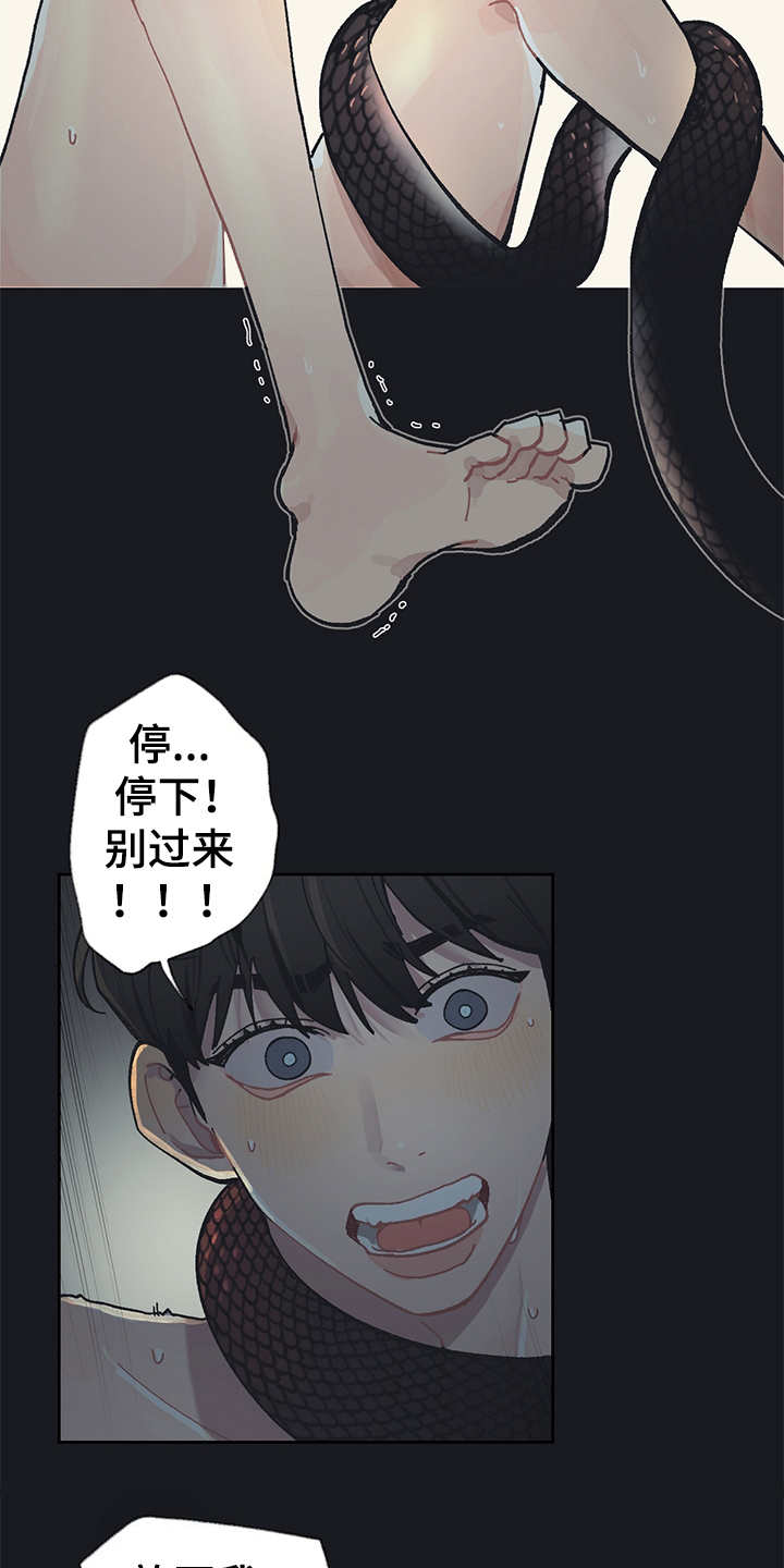 惹火上身的近义词漫画,第19章：毒蛇2图