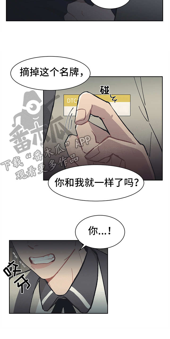 惹祸上身的动物漫画,第14章：挑衅1图