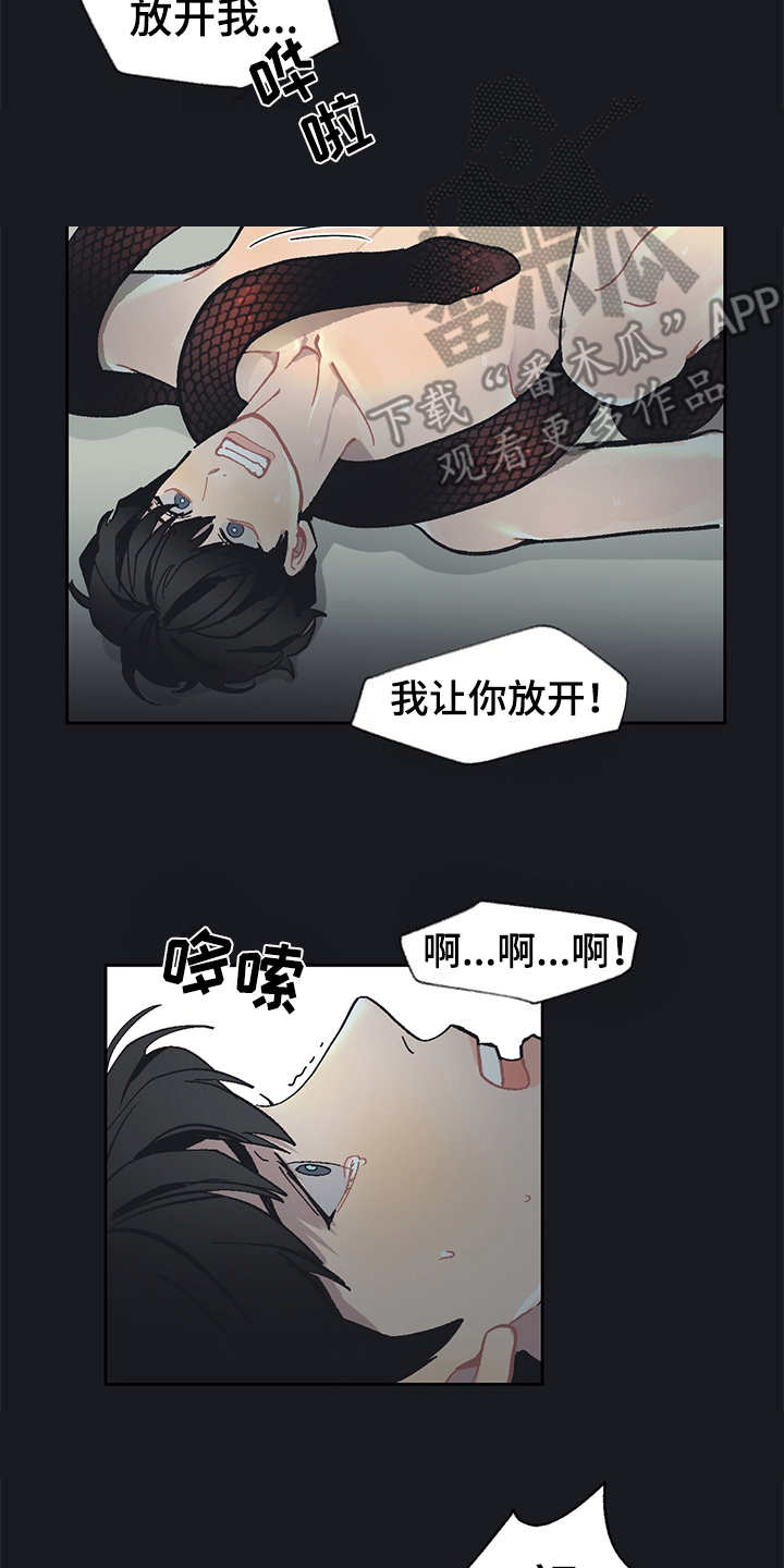 惹火上身的近义词漫画,第19章：毒蛇1图